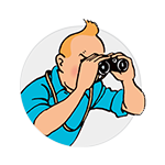 tintin follow product